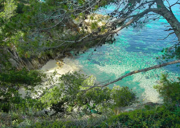 Select'sohome - Mazet Avec Piscine, Terrain De Tennis Et Parking Prive Au Lavandou ! - Vacancia