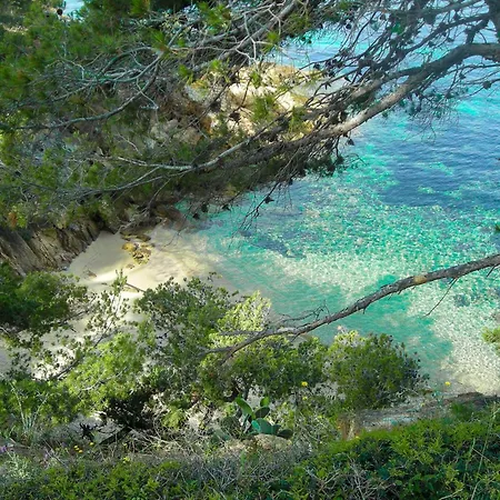 Select'sohome - Mazet Au Calme Avec Piscine, Terrain De Tennis Et Parking Prive Au Lavandou ! - Vacancia